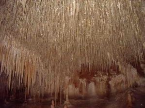 DANS LE MARCHE DE ZAEROD Grotte-de-Cougnac